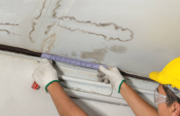 Reliable Structural Drying contractor in Lincoln, IL by Water Damage Irwin